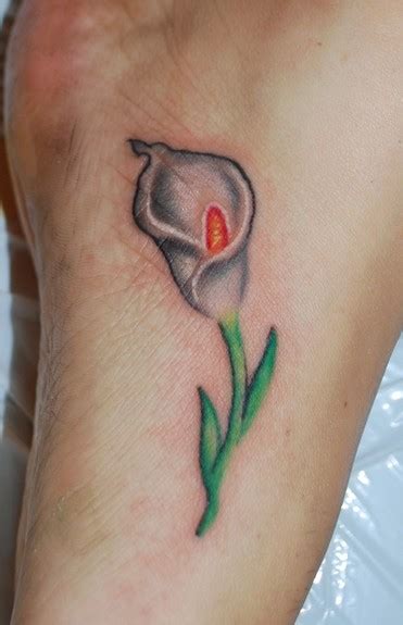 Calla Lily Tattoo : Tattoos