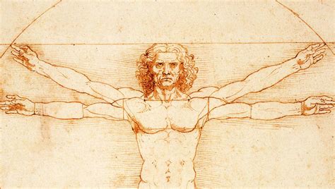 How to Draw the Vitruvian Man (Even for non-artists) | by Emma Herdegen | Medium