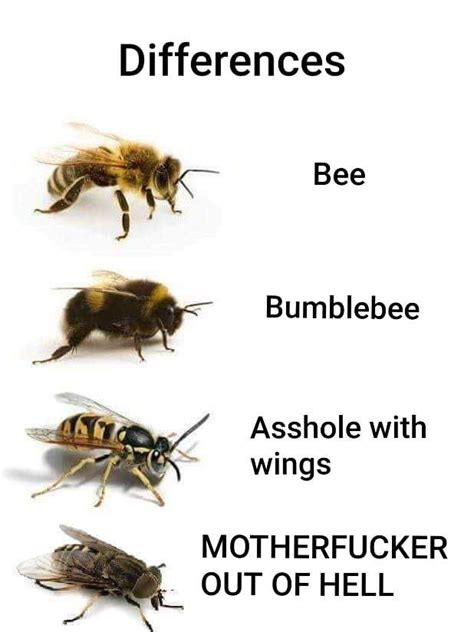 Bee kind to #1 and #2 Really Funny Memes, Stupid Funny Memes, Funny Relatable Memes, Funny Laugh ...