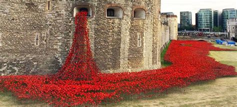 888,246 Poppies At Tower Of London Commemorate Each British And Colonial Casualty From WWI ...