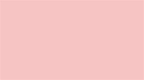 Baby Pink Solid Color Background: 1000+ Free Download Vector, Image, PNG, PSD Files