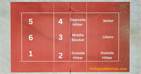 6 Volleyball Positions And Player Roles Explained