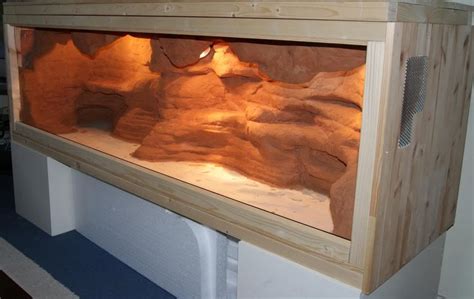 Cool Bearded Dragon Enclosure Decor Ideas References