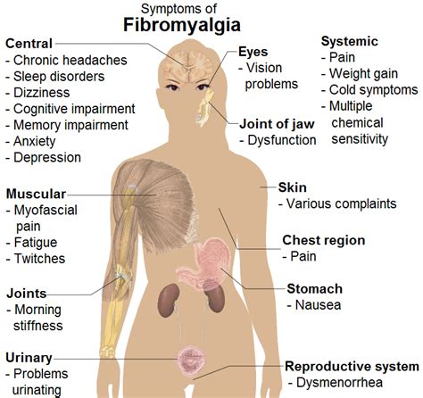 An Overview Of Fibromyalgia - My Fibromyalgia Diet