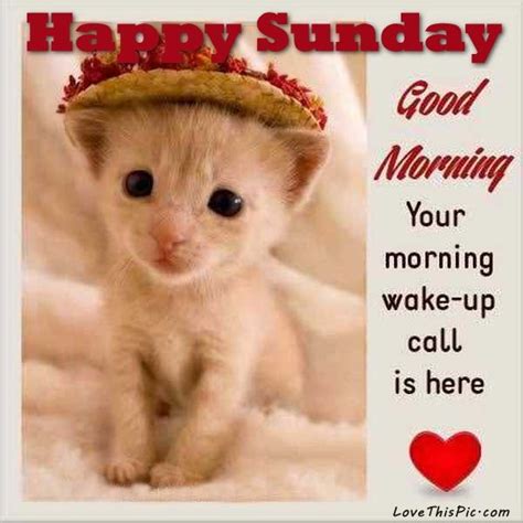 Happy Sunday Good Morning Your Wake Up Call Is Here Pictures, Photos, and Images for Facebook ...