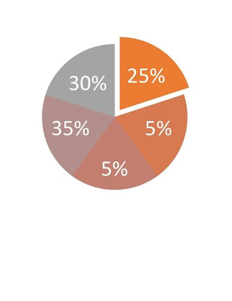 Editable Pie Chart Template