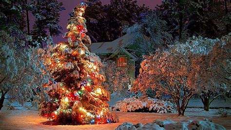 HD wallpaper: snow, christmas day, christmas eve, snowy, night, christmas lights | Wallpaper Flare