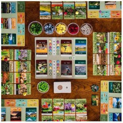 Earth Board Game Review: The Best New Game of 2023 - Paste Magazine