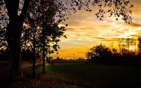 Autumn, field, trees, evening, sunset, beautiful scenery wallpaper | nature and landscape ...