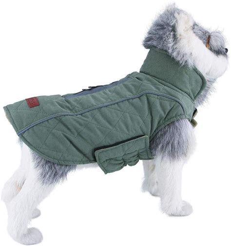 Winter Dog Coats: Keeping Your Canine Companion Warm and Toasty