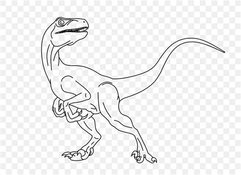 Velociraptor Line Art Drawing Dinosaur, PNG, 800x600px, Velociraptor, Animal Figure, Art ...