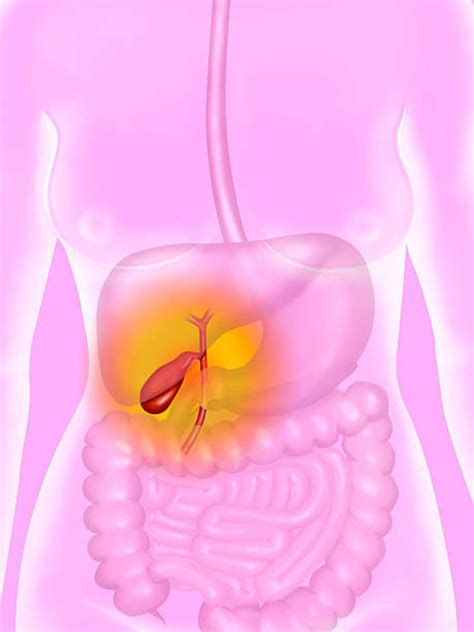 Gallbladder Pain - What Are the Symptoms of Gallbladder Trouble? - Articlesubmited