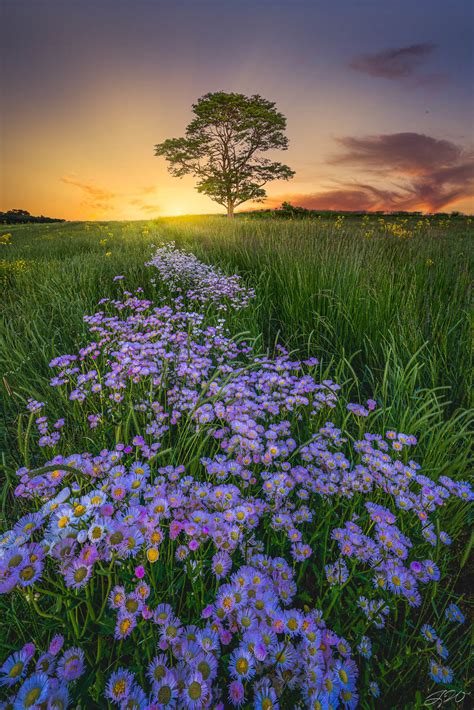 Field of Dreams | United States of America | Jared Weber Photography