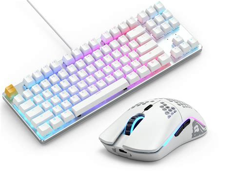 Buy Glorious PC Gaming Race, Gaming Keyboard and Mouse Combo - GMMK 87% Percent Backlit RGB TKL ...