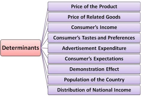 What are the Determinants of Market Demand? - Business Jargons