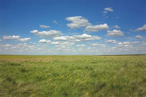 What Are Grasslands? - WorldAtlas