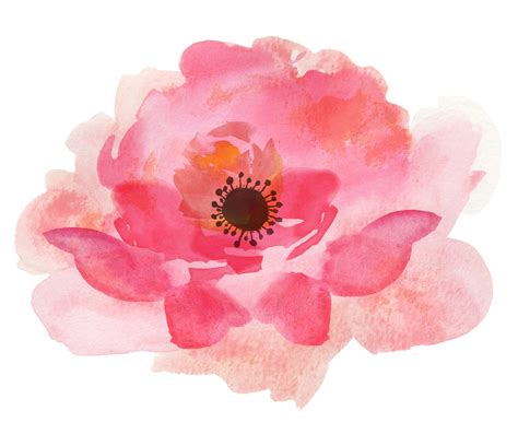 Watercolor Flowers PNG, Watercolor Flowers Transparent Background - FreeIconsPNG