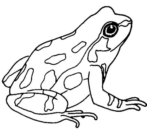 Free Black And White Clip Art Frog, Download Free Clip Art, Free Clip Art on Clipart Library