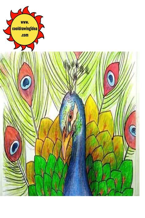 Peacock Drawing Step by Step. How to Draw Peacock For Youngsters | by Early Education | Medium