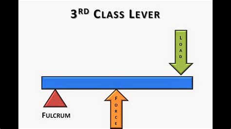 First Second And Third Class Levers