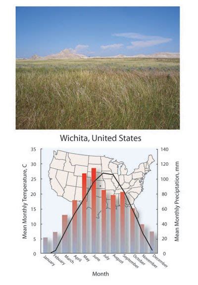 Grassland Biome Climate