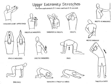 Upper Extremity Arom Exercises