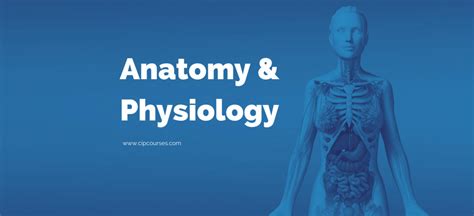 Anatomy and Physiology Online Course | Caduceus International Publishing