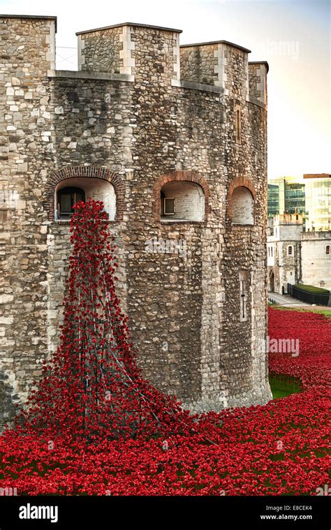 Tower of London Poppies in the Moat HRP-Tower London -WW1-LogoFrom 5 August 2014 to 11 November ...