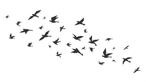 Flying bird. Free birds flock in flight black silhouettes. Tattoo imag By Tartila | TheHungryJPEG