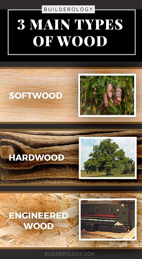 fun animal in: Different Types Of Softwood