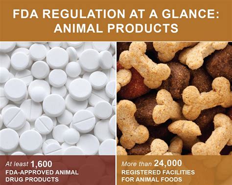 What is FDA's budget and what is its impact?