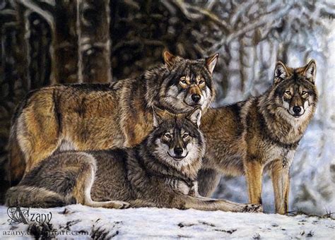 Wolf pack by Azany on DeviantArt