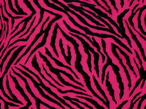 Pink Zebra Wallpaper - WallpaperSafari