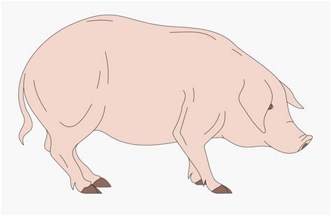 Barn, Pig, Side, View, Standing, Animal - Side View Pig Cartoon , Free Transparent Clipart ...