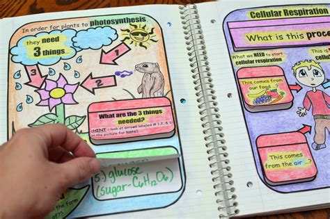 Math in Demand: Science Interactive Notebook - Cells