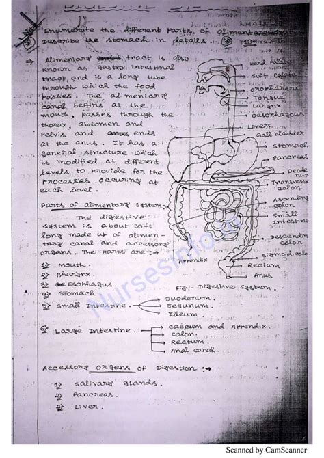 BSc Nursing First Year Anatomy and Physiology Notes/Book (PDF) | nurseinfo | Anatomy and ...