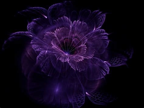 Purple petaled flower, abstract, fractal, black background, fractal flowers HD wallpaper ...