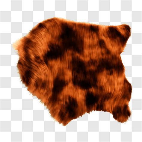 Download Orange Fur Rug for Decorative and Functional Use PNG Online - Creative Fabrica