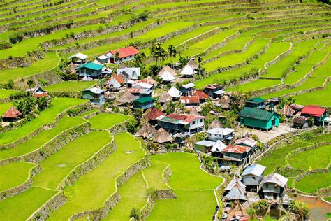 Rice Terraces Ifugao - Nehru Memorial