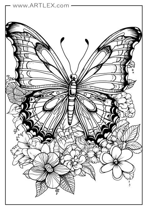 16 Best Butterfly Coloring Pages (Free + Printable) - Artlex