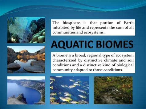 Aquatic biomes