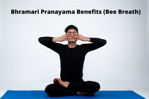 Bhramari Pranayama (Bee Breath) Benefits and Steps For Better Sleep-Solara Home