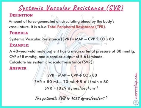 Cardiac Preload vs Afterload vs Contractility |With an example - NurseShip