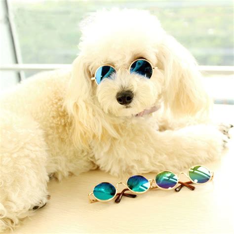 Dog Sunglasses | Best Dog Goggles and Sunglasses