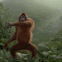 Monkey Dance GIFs - Find & Share on GIPHY