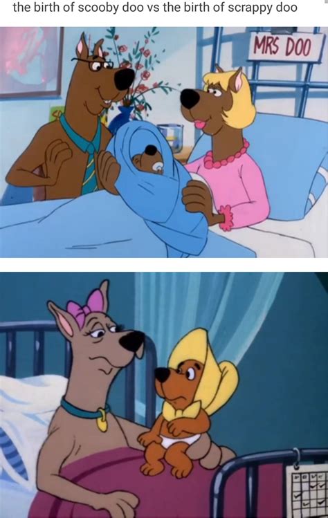 Welp, this explains a lot | Scooby-Doo | Scooby doo memes, Good cartoons, Scooby doo mystery ...