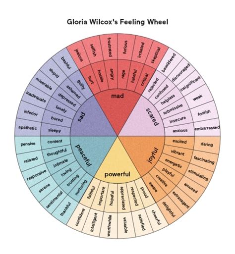 The Emotion Wheel: What It Is, Psychology & How To Use It | mindbodygreen