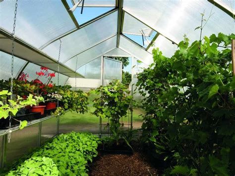 Where do I start with Greenhouse Gardening? | Greenhouse Emporium