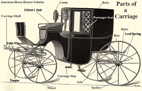 Horse Drawn Wagon Parts Diagram - Drivenheisenberg