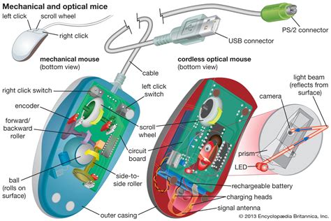 Mouse | Definition & Facts | Britannica